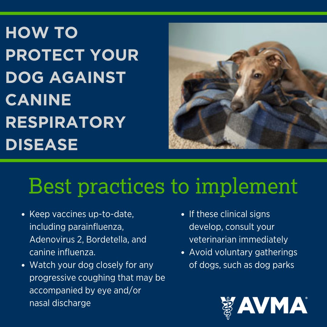 Buffalo Companion Animal Clinic