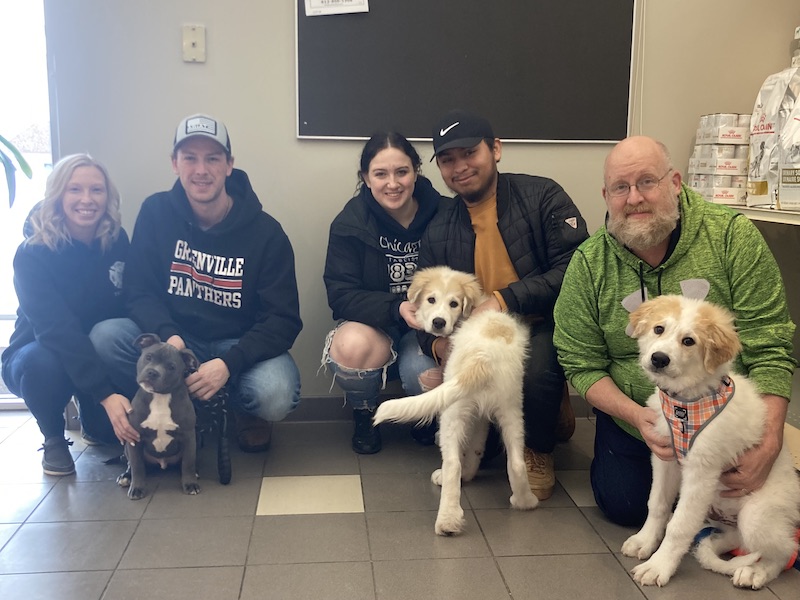 puppy play class