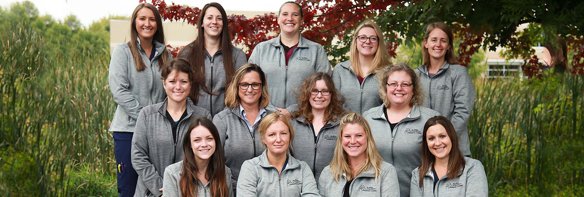 Buffalo Companion Animal Clinic Buffalo companion animal clinic